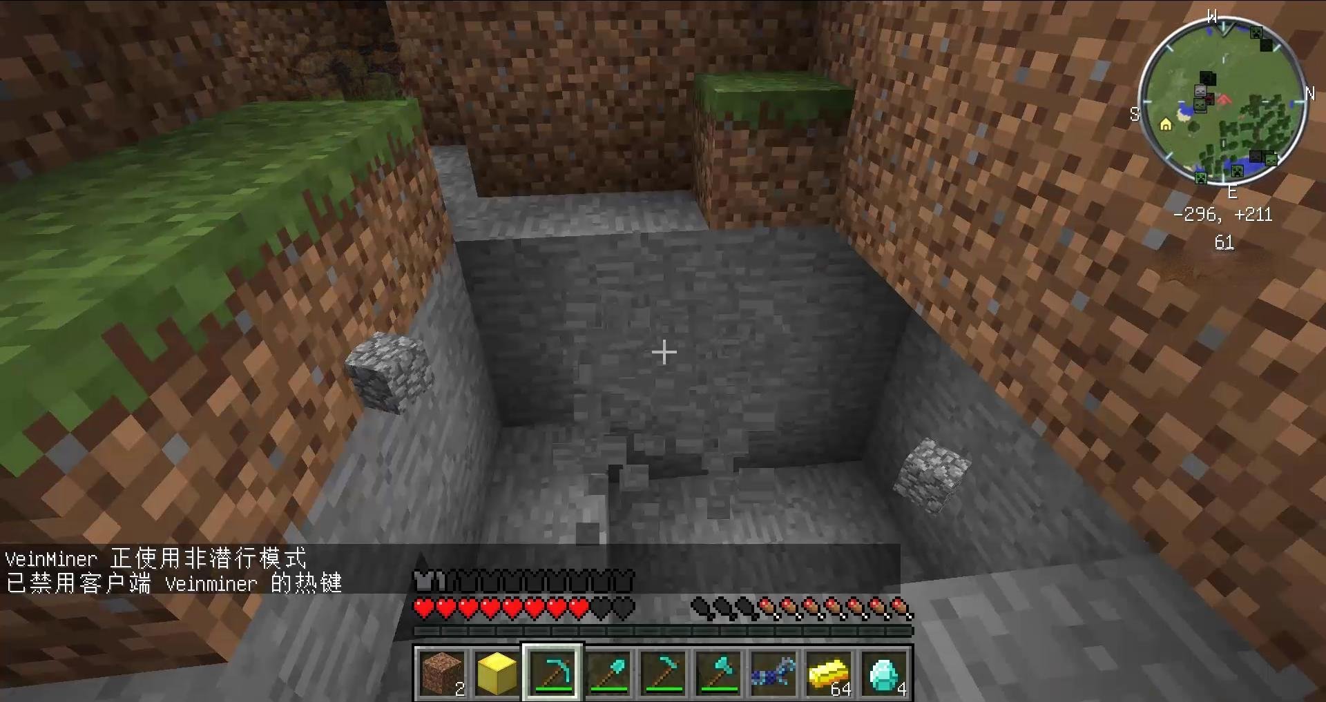 空洞骑士 豪华版 截图22